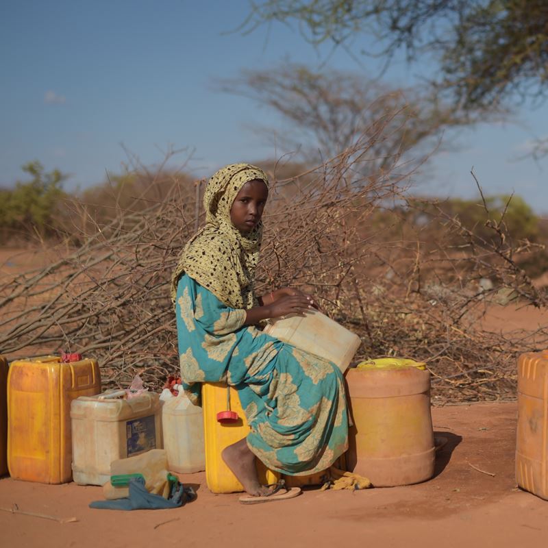 Millioner af mennesker lider under den omfattende tørke i Afrikas Horn.  