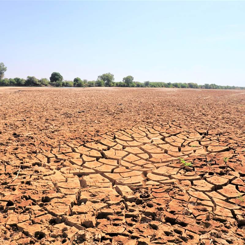 Ekstrem tørke er en af de klimakatastrofer, der går ud over i forvejen udsatte mennesker i nogle af verdens fattigste lande. Lige nu er Somalia hårdt ramt af den værste tørke i 40 år, og millioner af mennesker er drevet på flugt efter vand og mad. DRC Somalia