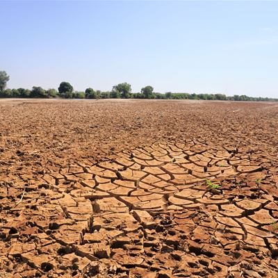 Klimaforandringer fører til kamp om ressourcer
