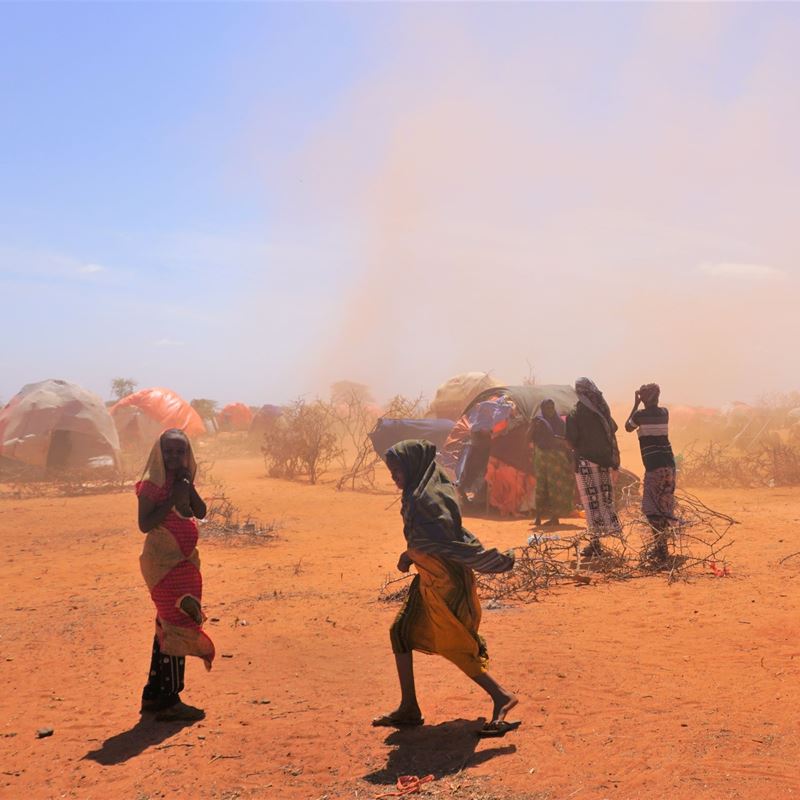 Over 80% af Somalia er ramt af tørke, og millioner af mennesker i Afrikas Horn er på desperat søgen efter mad og vand.  DRC Somalia