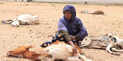 Tørke: Sultkatastrofe Afrikas Horn